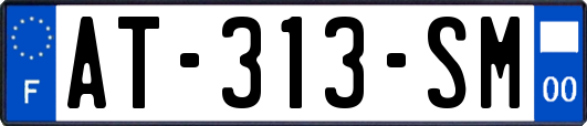 AT-313-SM