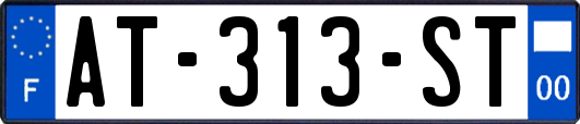 AT-313-ST