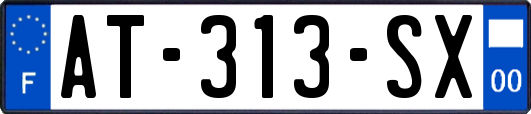 AT-313-SX