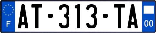AT-313-TA