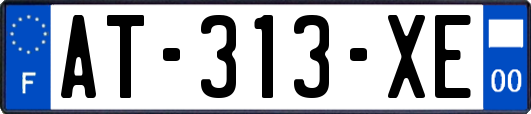 AT-313-XE