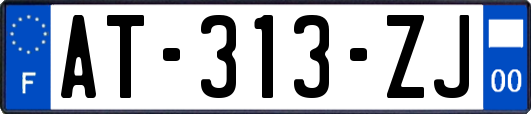 AT-313-ZJ