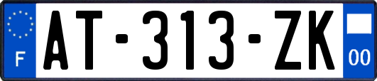 AT-313-ZK