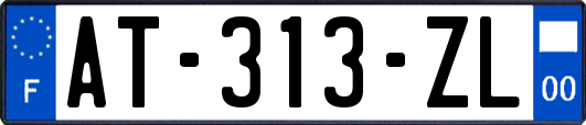 AT-313-ZL