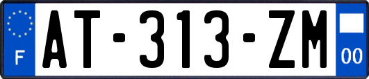 AT-313-ZM