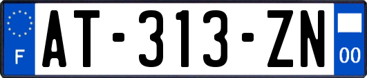 AT-313-ZN