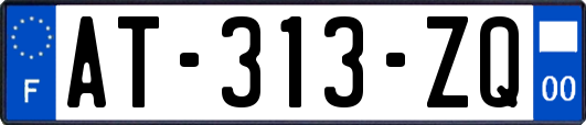 AT-313-ZQ