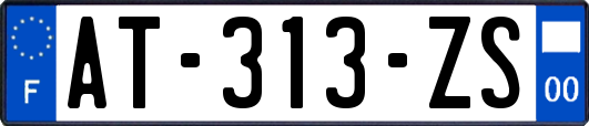 AT-313-ZS