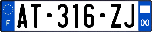 AT-316-ZJ