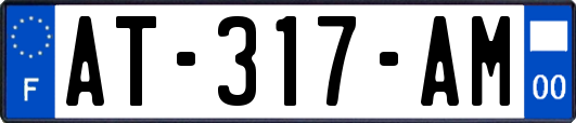 AT-317-AM