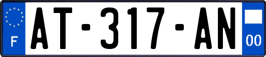 AT-317-AN