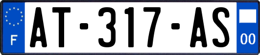 AT-317-AS