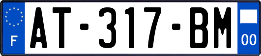 AT-317-BM