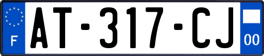 AT-317-CJ