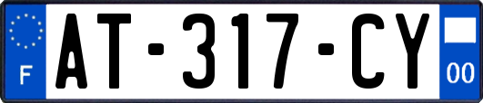 AT-317-CY