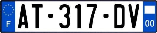 AT-317-DV