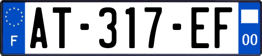 AT-317-EF