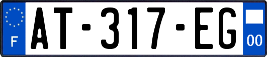 AT-317-EG
