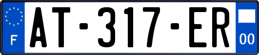 AT-317-ER