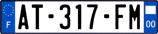 AT-317-FM