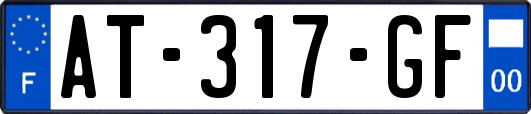 AT-317-GF