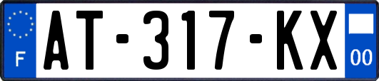 AT-317-KX