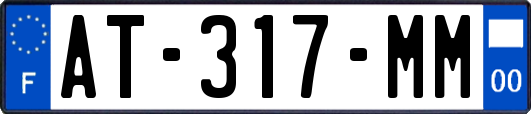 AT-317-MM