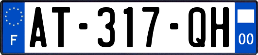 AT-317-QH