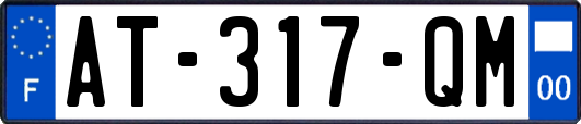AT-317-QM