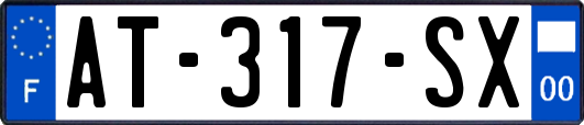 AT-317-SX