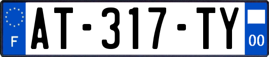 AT-317-TY