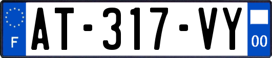 AT-317-VY