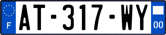 AT-317-WY