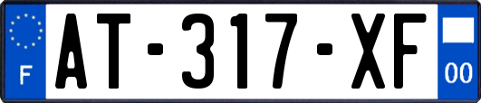 AT-317-XF