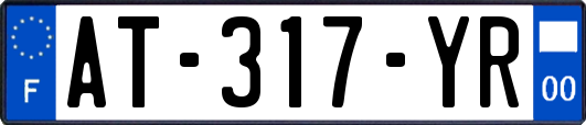 AT-317-YR