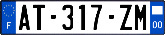 AT-317-ZM