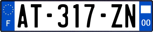 AT-317-ZN