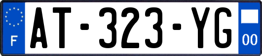 AT-323-YG