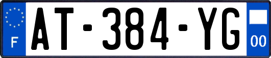 AT-384-YG