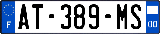 AT-389-MS