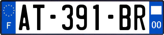 AT-391-BR