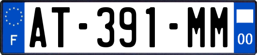 AT-391-MM