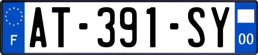 AT-391-SY