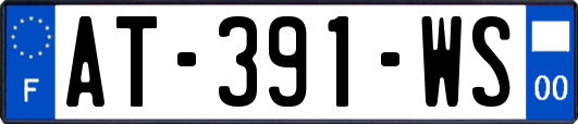 AT-391-WS