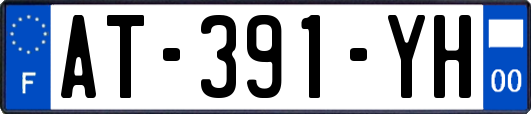 AT-391-YH