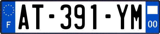AT-391-YM