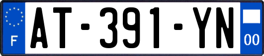 AT-391-YN