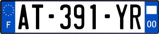 AT-391-YR