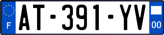AT-391-YV