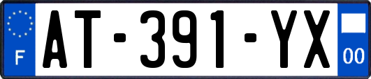 AT-391-YX